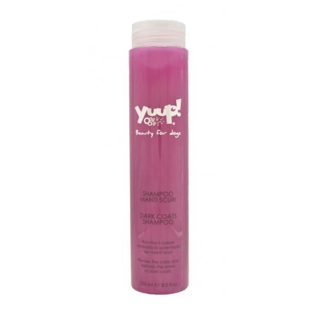 Yuup Shampoo  Intensificador Pelo Negro