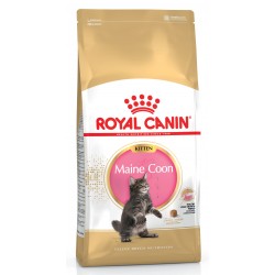 Royal Canin Feline Kitten Maine Coon 36