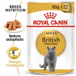 Royal Canin Feline British Shorthair 34