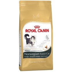 Royal Canin Norwegian Forest Cat (Bosques da Noruega)